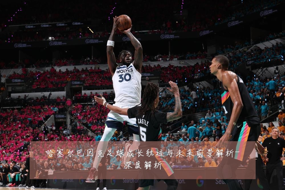 哈塞尔巴因克足球成长轨迹与未来前景解析-深度解析